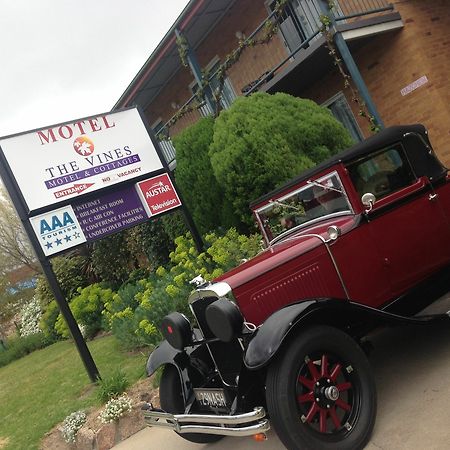 The Vines Motel & Cottages Stanthorpe Esterno foto